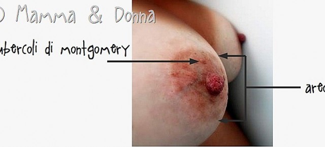 Sintomi di gravidanza: seno dolorante, sono incinta?